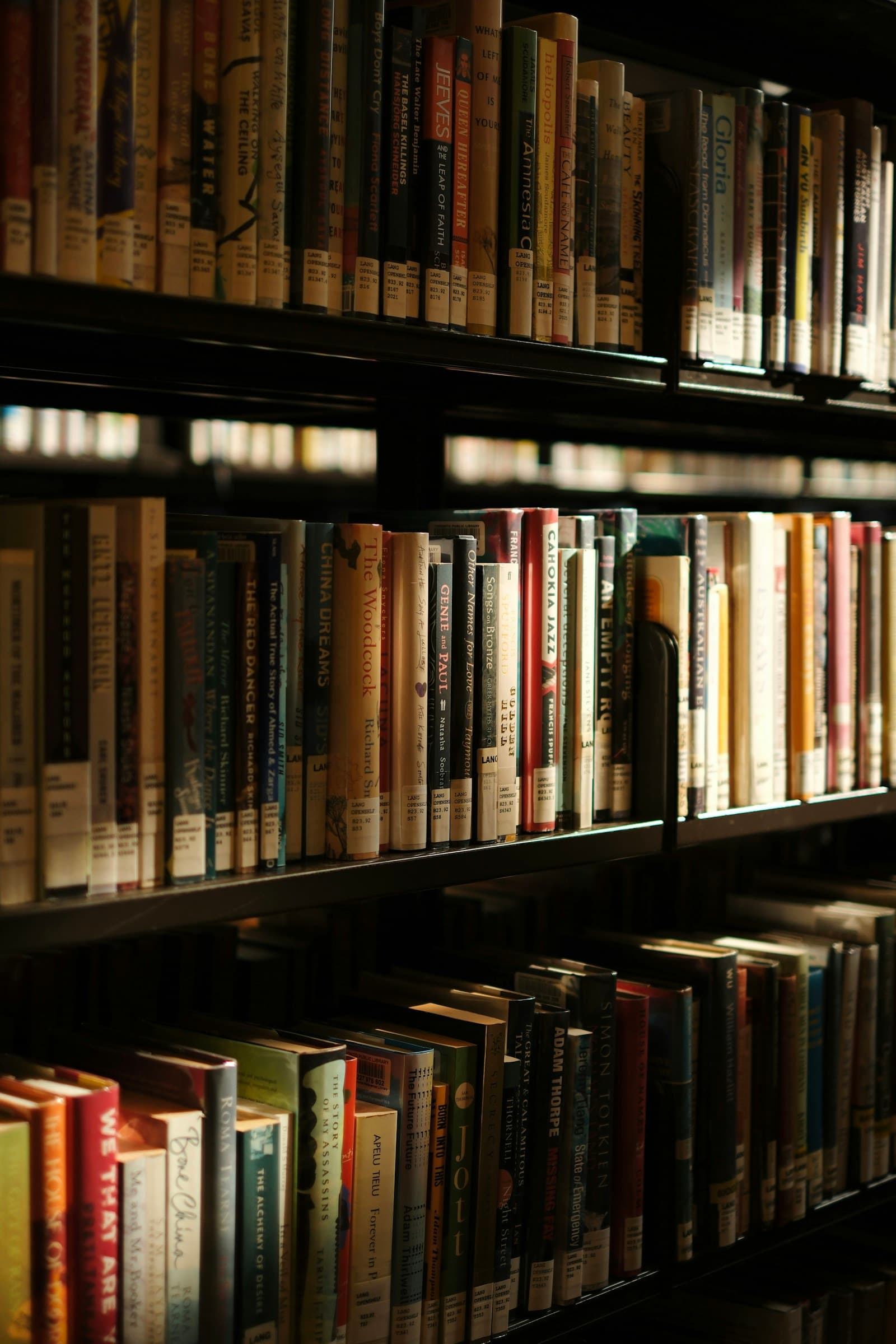 Sunlight falling across shelves of books in a library